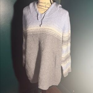 J. Jill Blue and Gray Cowl Neck Sweater